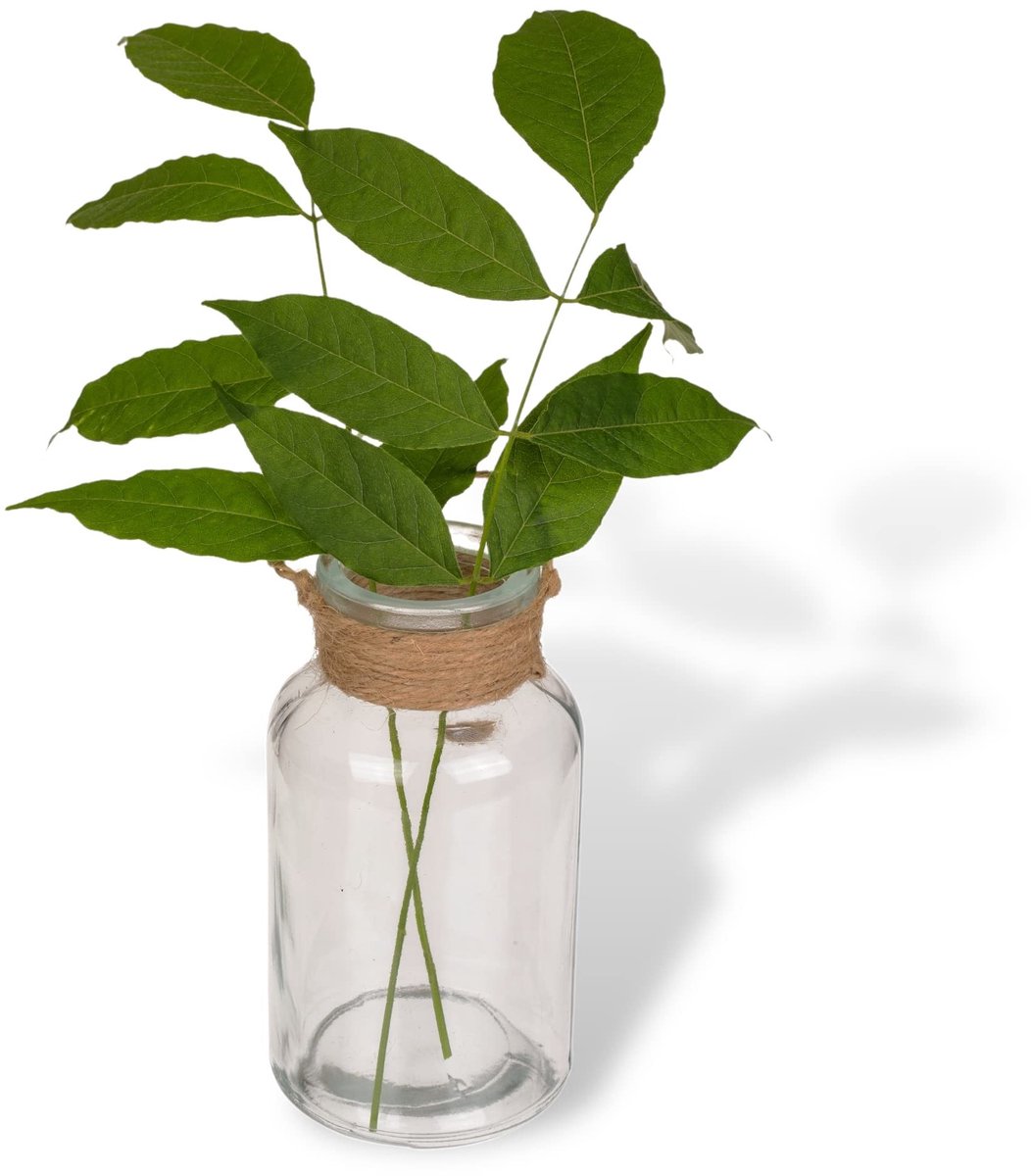 Omgoods- Bloemenvaas Set van 24 - Glazen Vazen - Decoratieve Flessen - Tafelvaas - Jute Koord - 10 x Ø 5,5 cm - Decoratieve Vaas