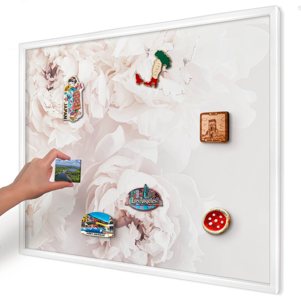 Artprintcave Wit Magneetbord mit Witte Lijst - 80x60 cm - Witte Pioenrozen Magnetische Organizer - Minimalist Magneetbord Voor Foto's - Bloemen En Planten