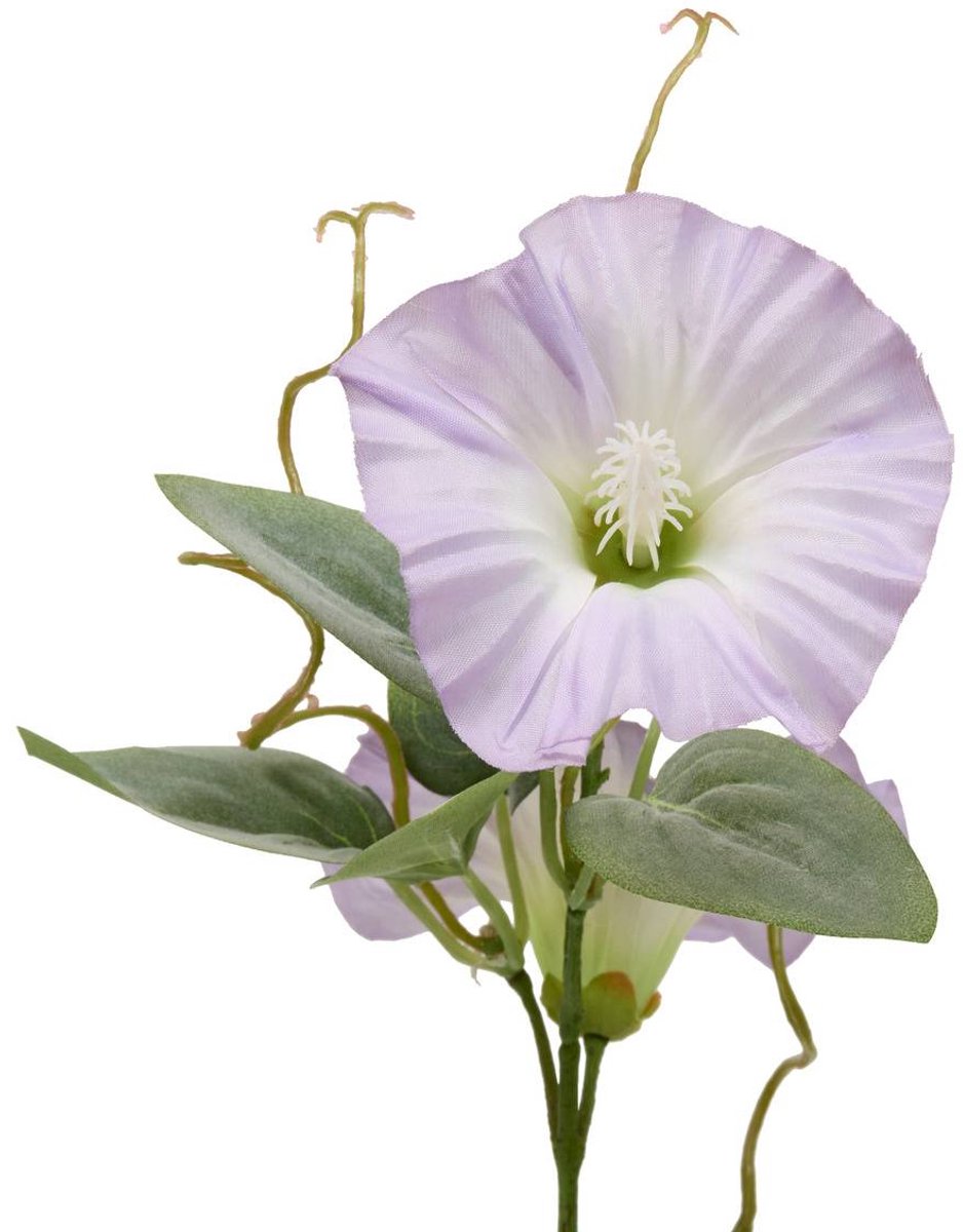 Tige Petunia Artificielle Phoebe H76 cm Blanche