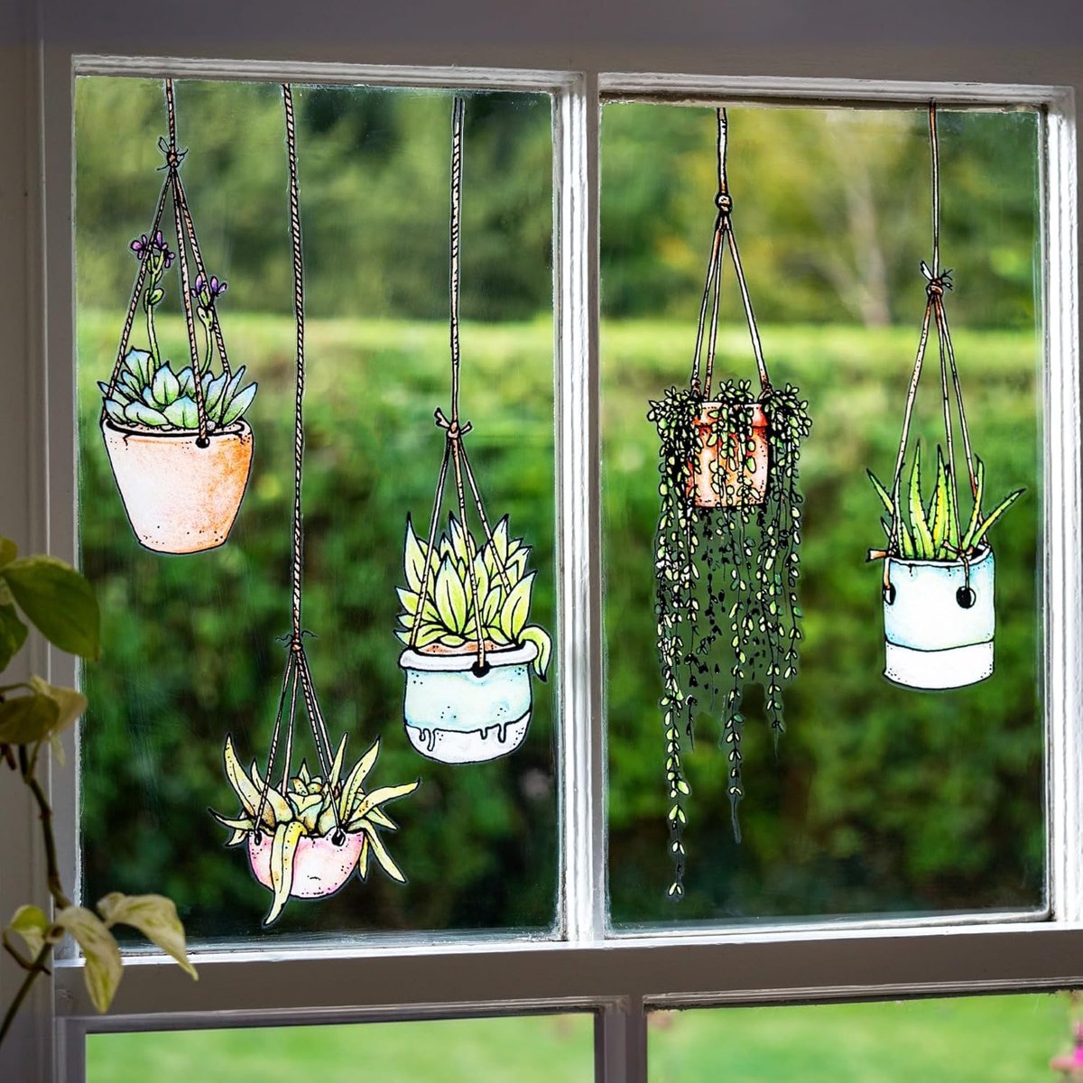 SnelShoppen - Set van vijf raamstickers met hangende plantmotieven - Zelfklevende glasstickers voor bescherming tegen vogelbotsingen - Dubbelzijdige t