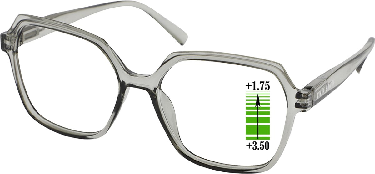 Leesbril Vista Bonita Mira Multifocaal-Kadushi silver-+1.75-+3.50