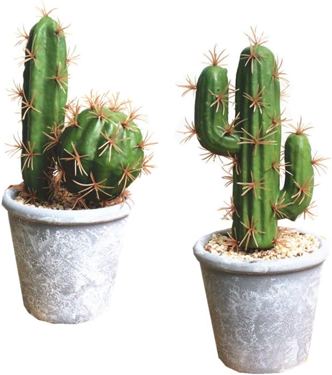 SnelShoppen - 2 Pack Kunst Planten - Faux Succulents en Cactus in Cementlook Pot - Decoratieve Neppotten voor Thuis, Badkamer en DIY Decoraties - 21.8