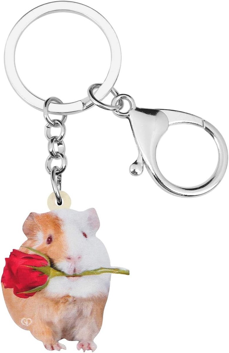 Thijox - WEVENI Acryl Sleutelhanger Roze Cavia - Valentijnsdag Accessoires voor Vrouwen en Meisjes - Meerkleurig, Compact en Duurzaam - Perfect voor S