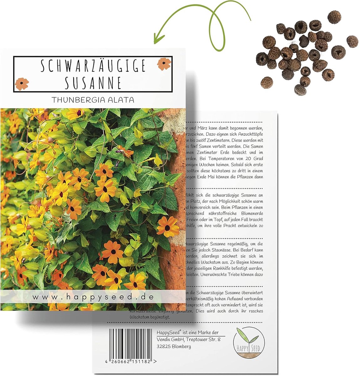 SnelShoppen - Black Susanne (Thunbergia alata) - prachtige klimplant, ideale hangplant voor tuin, terras, balkon - lange bloeitijd, kleurrijke bloemen