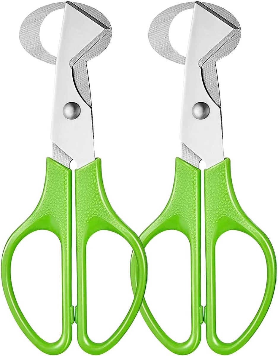 SnelShoppen - Quail Egg Scissors Set, RVS Eierschalen Schaar, Lichtgewicht, Ergonomisch, 2 Stuks voor Keuken en Restaurant
