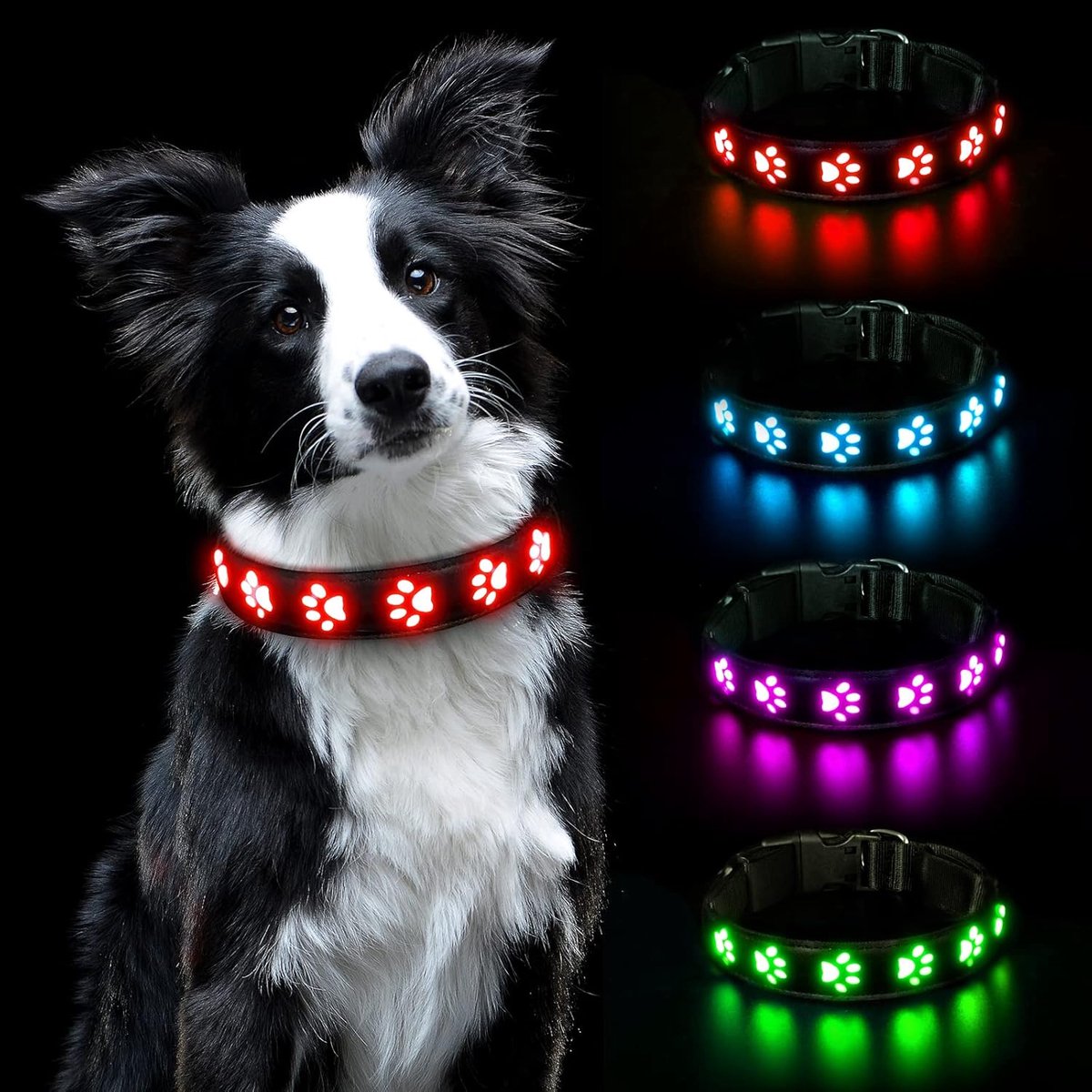 SnelShoppen - Lichtgevende Halsband voor Huisdieren, LED Oplaadbaar, Waterdicht, Veiligheidshalsband met 3 Verlichtingsmodi voor Kleine, Middelgrote e