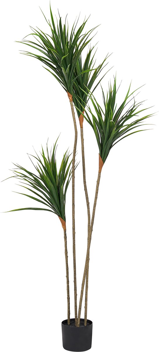 DRACAENA DRACO - Kunstplant - Groen - 165 cm - Synthetisch materiaal