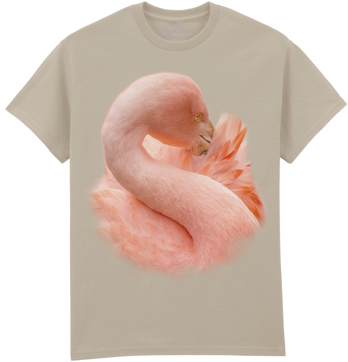 Flamingo Cocoon Of Plumage The Coloured House T-shirt S