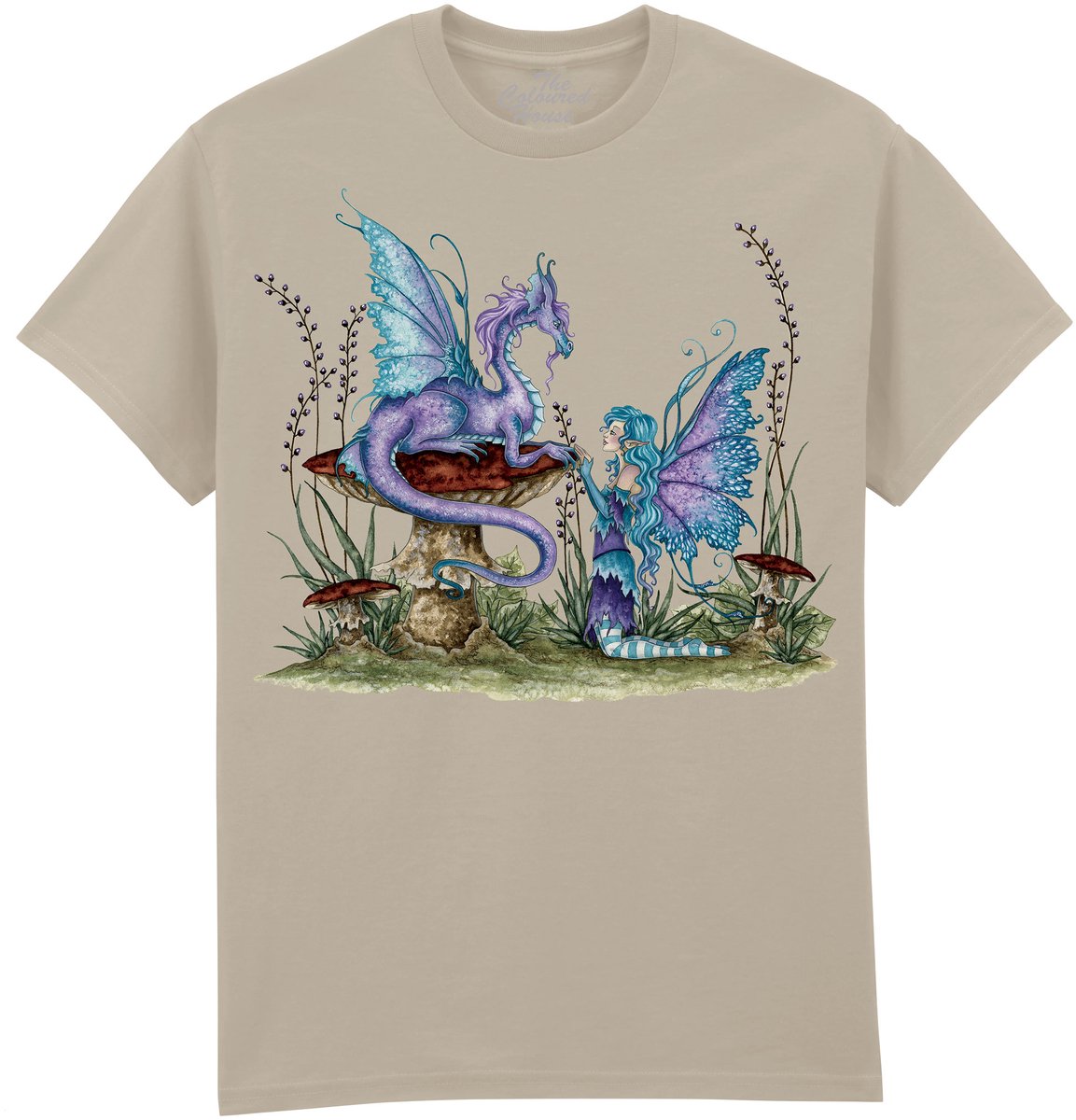 Companions The Coloured House T-shirt S