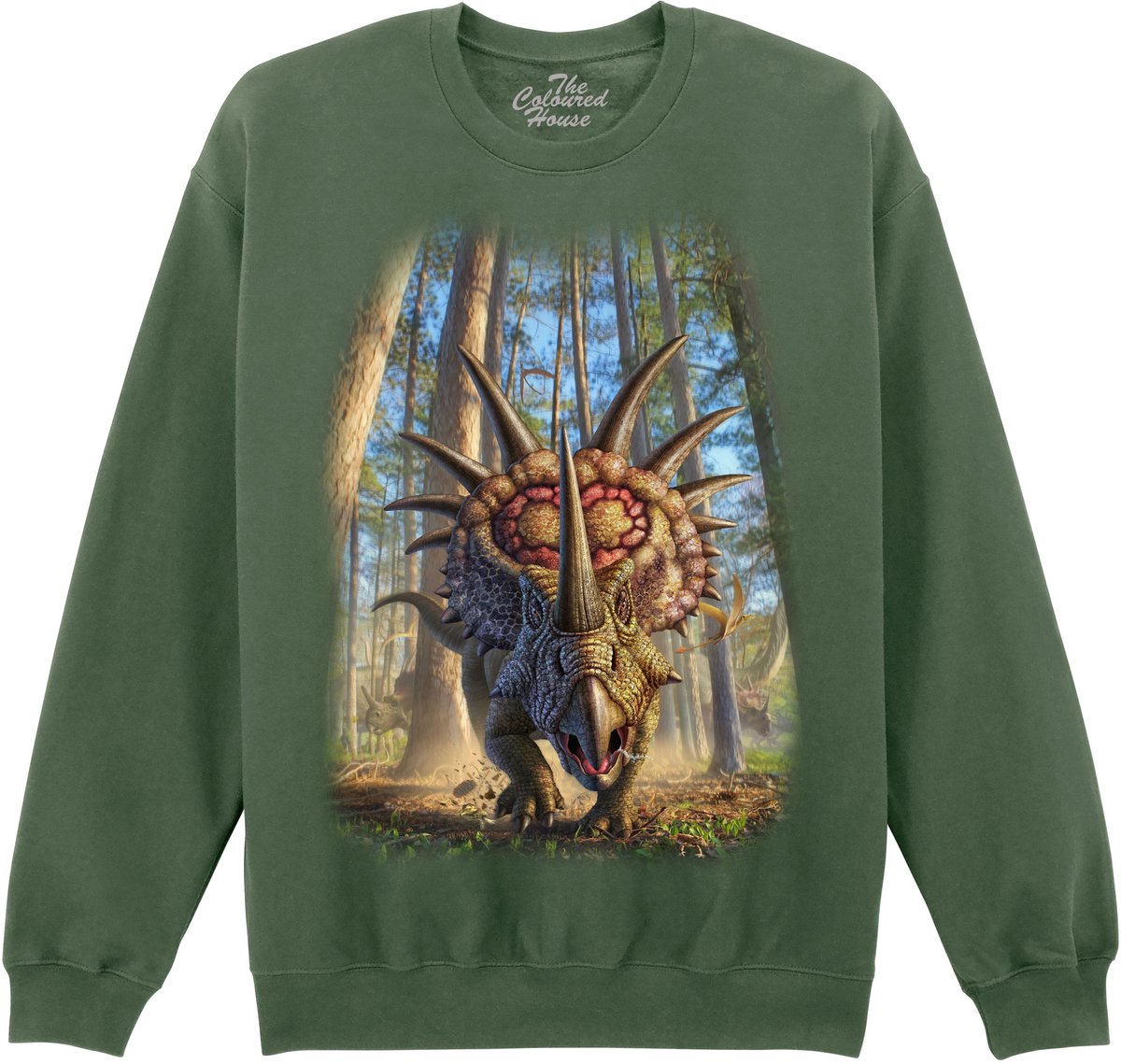 Dino Styracosaur The Coloured House Sweater 4XL