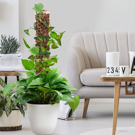 Mosstok voor Planten - Mosstok Monstera - Plantenstokken - 61cm - voor Monstera, Pothos en Meer - 6 Stuks