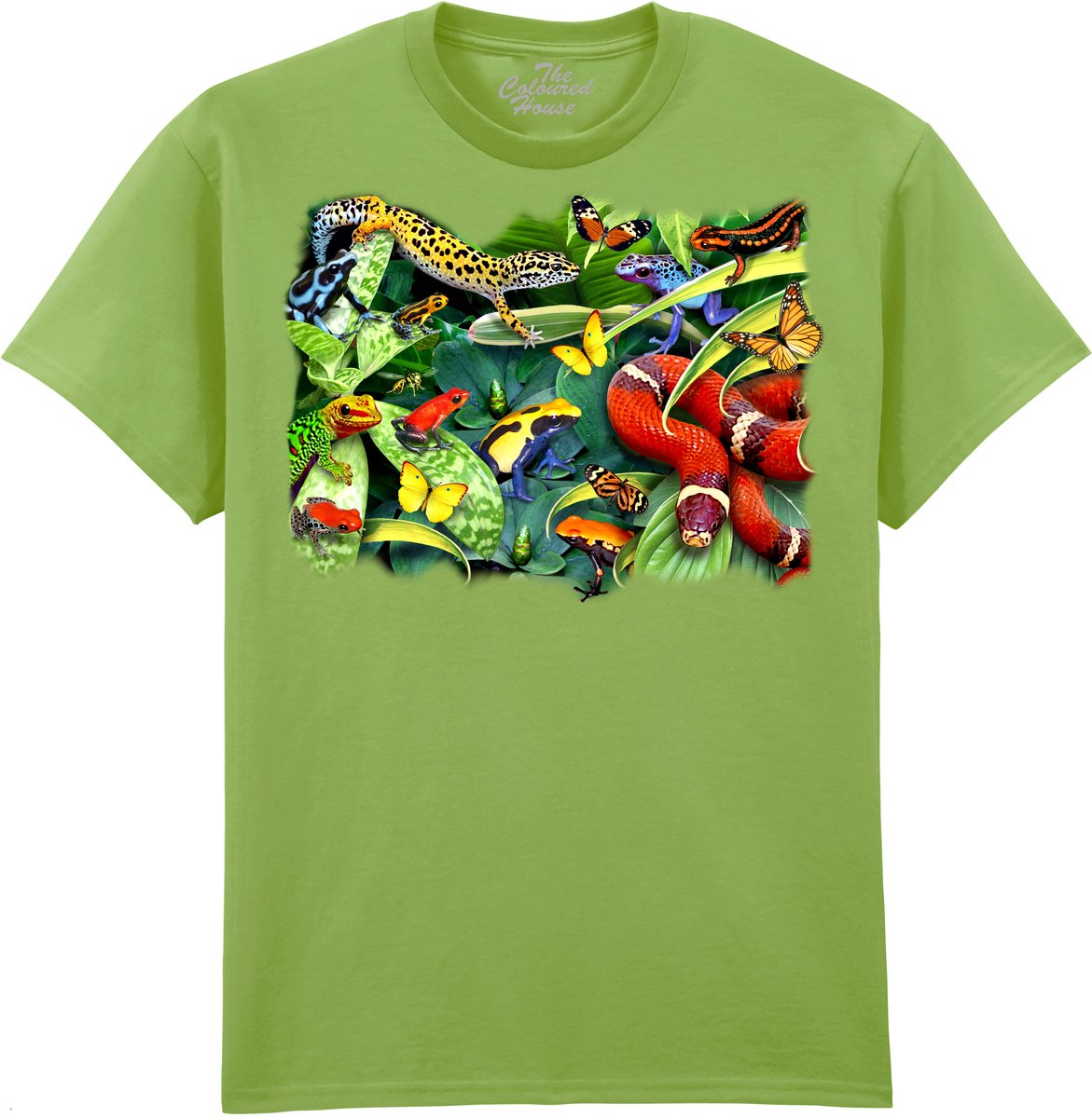 Kikkers Gecko Slang Jumpers And Crawlers The Coloured House T-shirt XXL