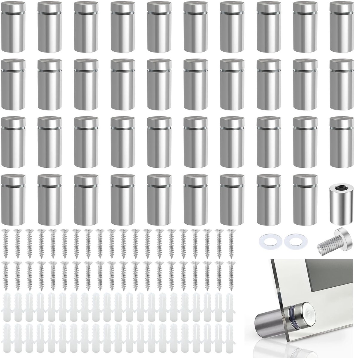 Dailygoods- Spacers Pack van 40 - Roestvrij Stalen Wandspacers - Inclusief Pluggen/Schroev