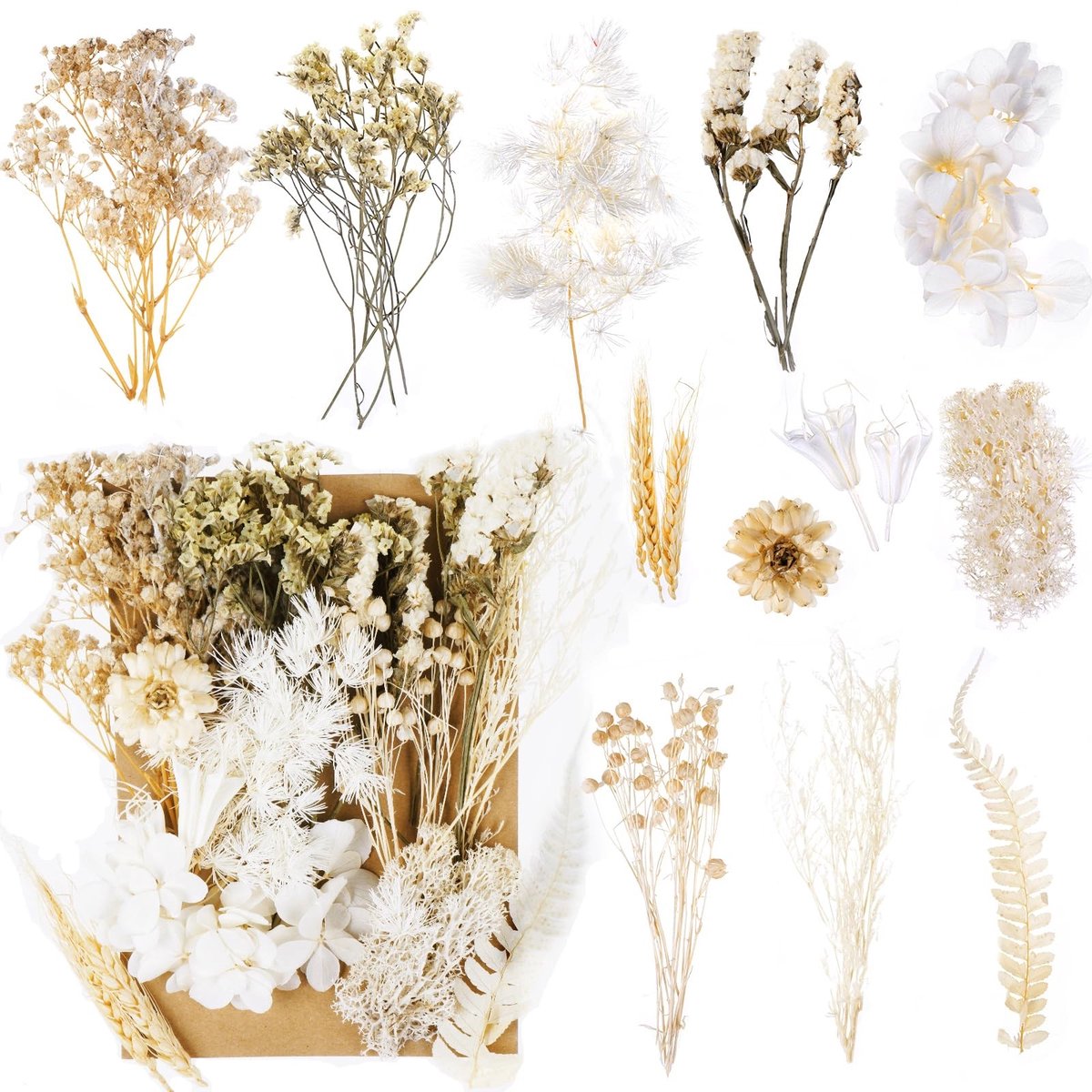 Decoratieve Drogen Bloemen Set - 12 Natuurlijke Variëteiten Wit