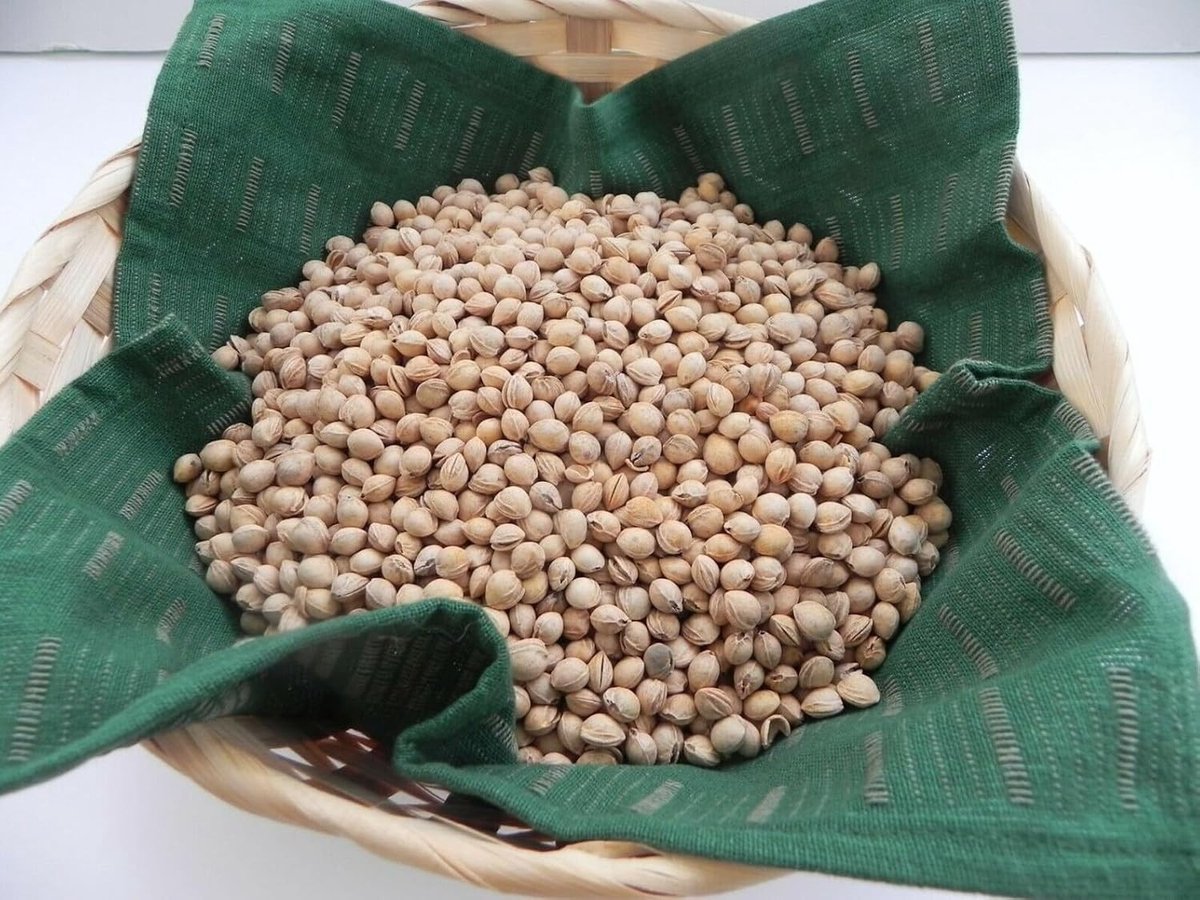 Kersenpitten voor verwarmingskussens - 900 g