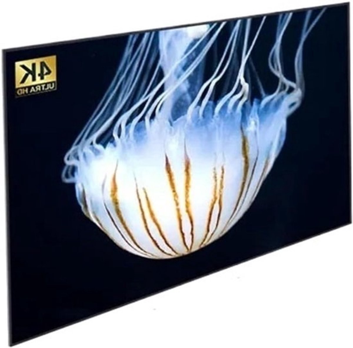Projectiescherm Canvas - Filmscherm Beamer - Thuisbioscoop Creëren - Kreukvrij HD Materiaal - 60 tot 300 inch - Wit