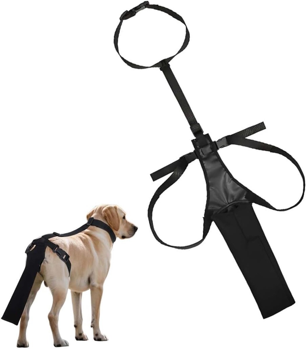 huisdierstaarthoes, verstelbare staarthoes, beschermende uitrusting voor huisdieren, accessoires voor huisdieren
