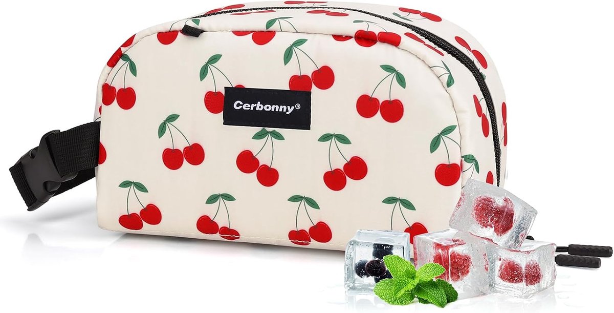 SnelShoppen - Kleine koeltas vriesbare lunchtas voor werk en school, geïsoleerde tas voor kinderen en volwassenen, handig en compact, ideaal voor pick
