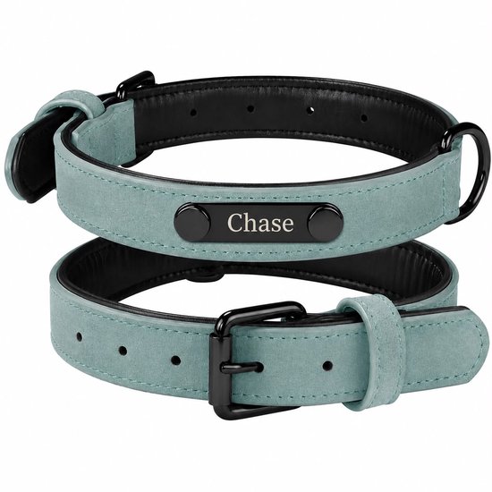 Deux colliers pour chien vert menthe avec boucles noires et une médaille 'Chase'.