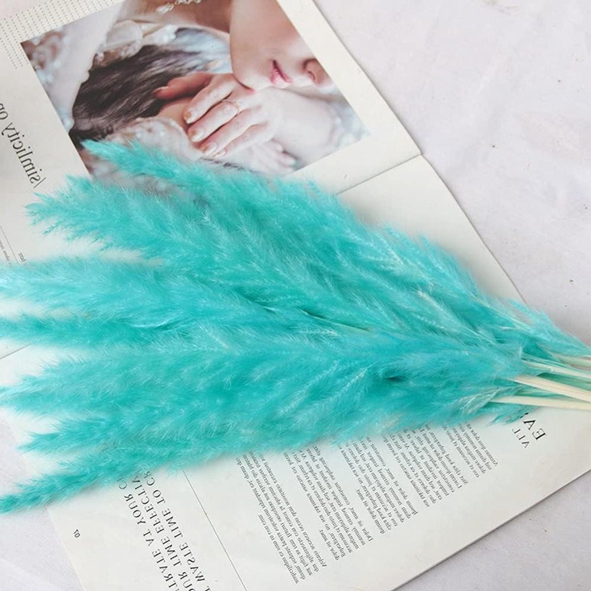 Gedroogde Pampas Grassen - Rietbloemen Bosjes - Decoratie Huis - Natuurlijk Gedroogd - 15 stuks - Blauw
