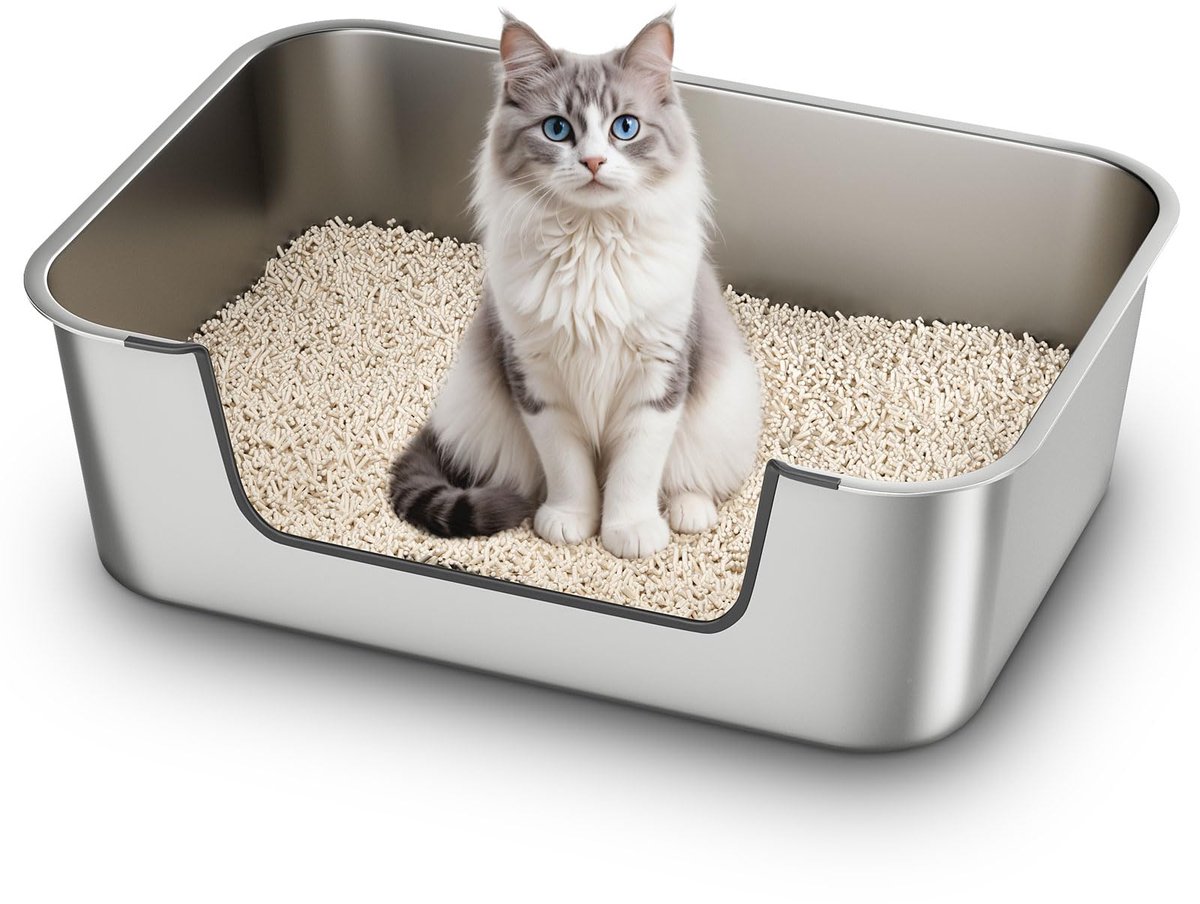 SnelShoppen – Kattenbak Roestvrij Staal met Lage Rand – XXL Open Kattenbak voor Oudere en Gewonde Katten – Antiaanbaklaag – 60x40x20 cm – Gemakkelijk