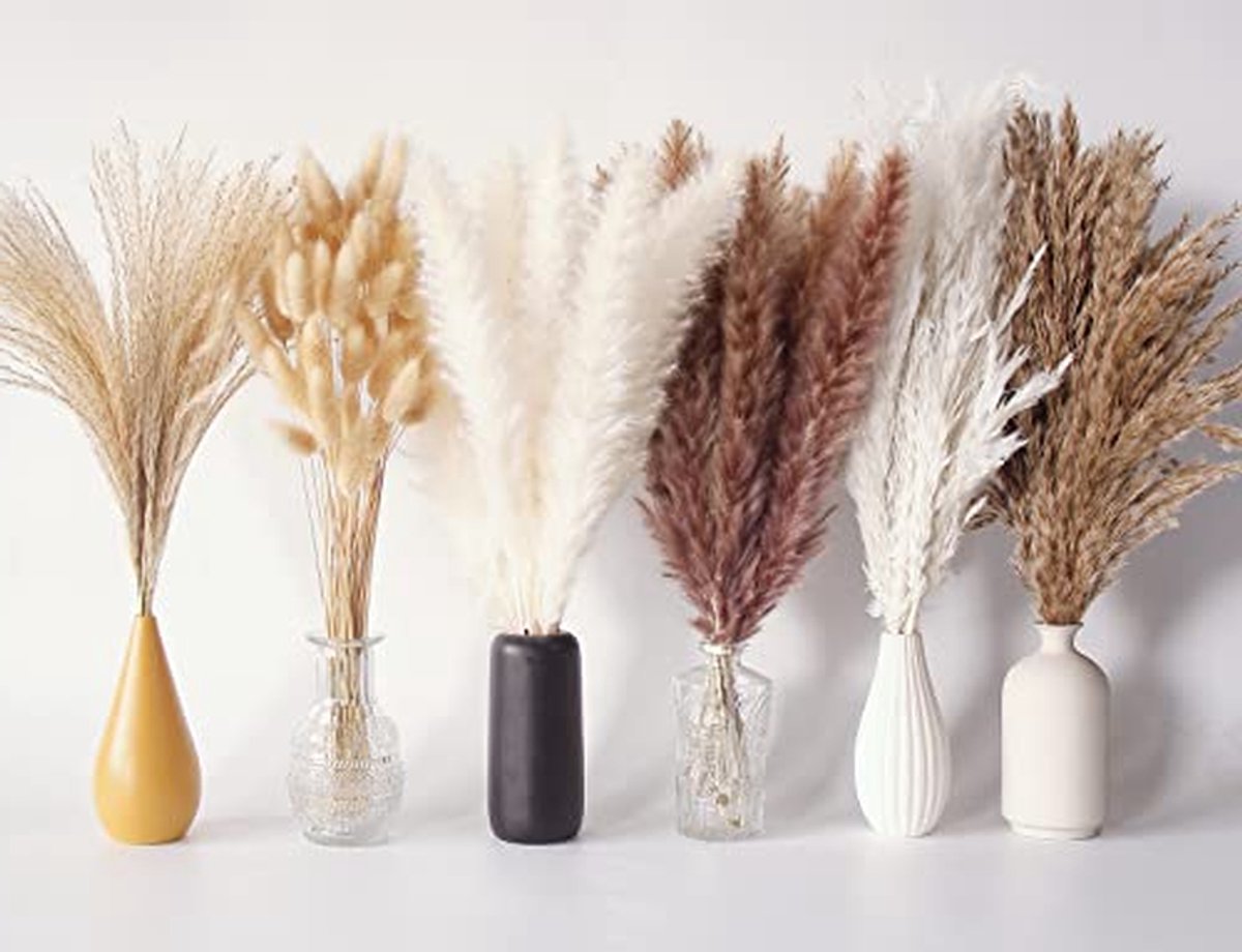 Pampasgras Boeket - Gedroogde bloemen - Boho Decoratie - Natuurlijk en Pluizig - 35-43 cm - Beige Bruin Wit