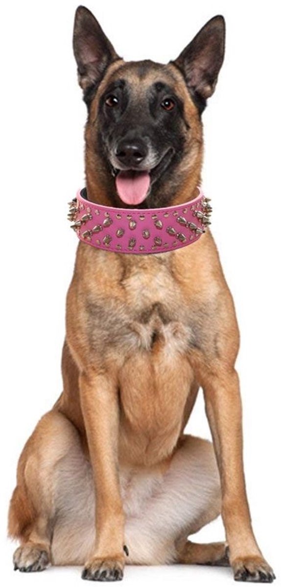 Hondenhalsband Punk Spiked - Zacht Lederen Riem Set - RVS Gesp - Heavy Duty - Geschikt voor Pitbull/Bulldog/Doberman - 100% Kwaliteitsgarantie - Hondentuig