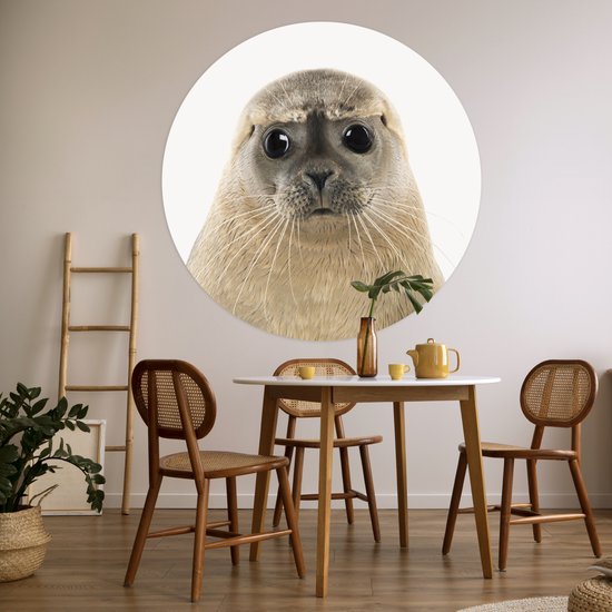 Papier peint Circle - Phoque - Beige - Animaux - ⌀ 120 cm - Wall Circle XXL