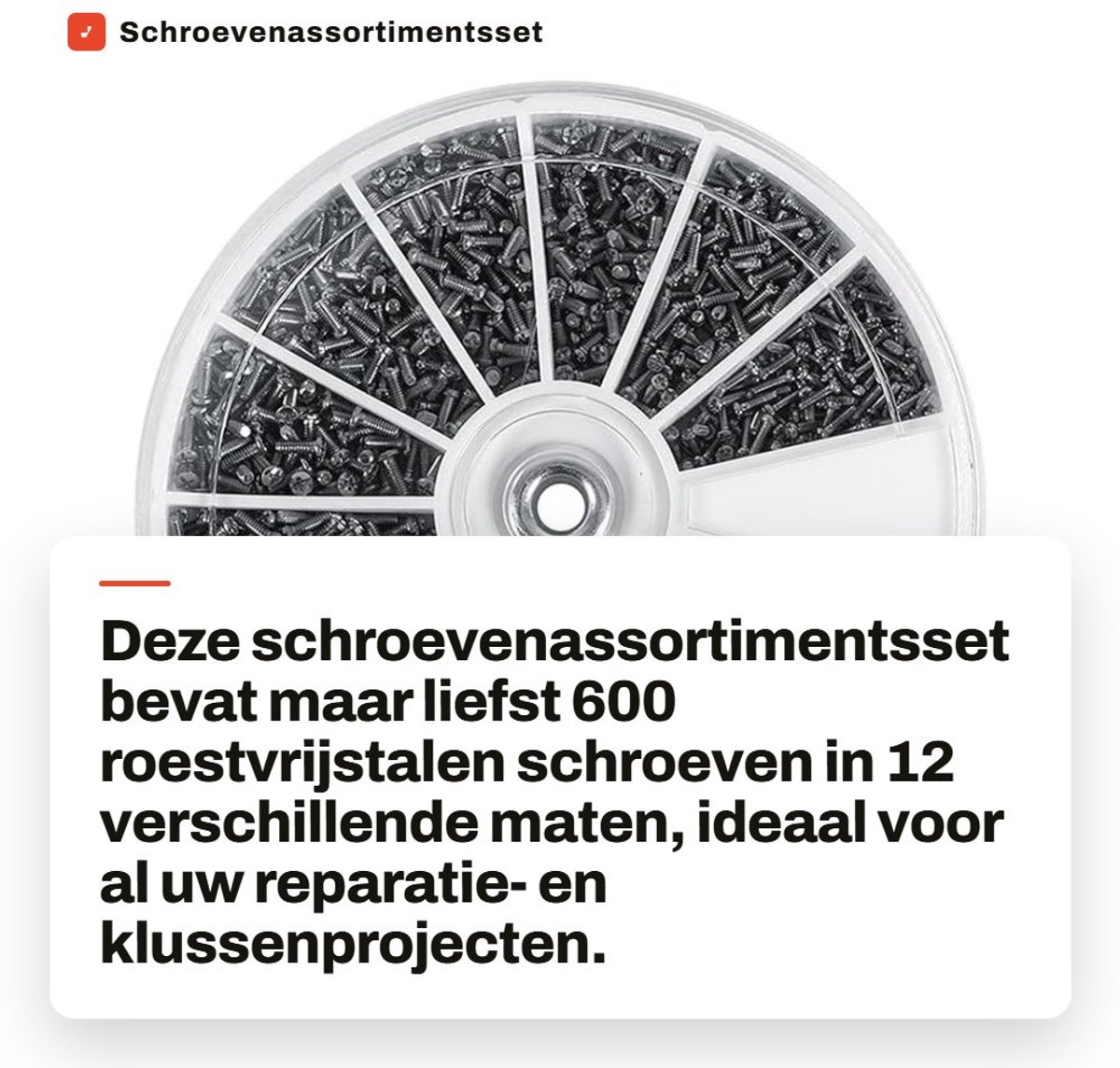 Dailygoods - Schroevenassortimentsset met 600 Roestvrijstalen Schroeven in Plastic Doos