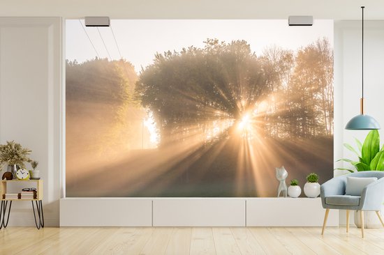 Behang - Fotobehang Zonnestralen door de ochtendmist in het Nationaal park Söderåsen - Breedte 450 cm x hoogte 300 cm