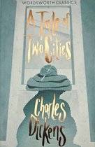 Boekcover: 'A Tale of Two Cities' door Charles Dickens, met een garenbol en breinaalden.