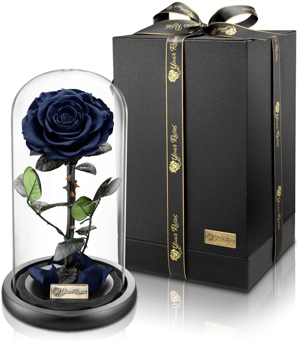 Dailygoods - YourRoses® Echte Premium Roos in Glas - Stijlvol Cadeau voor Elke Gelegenheid