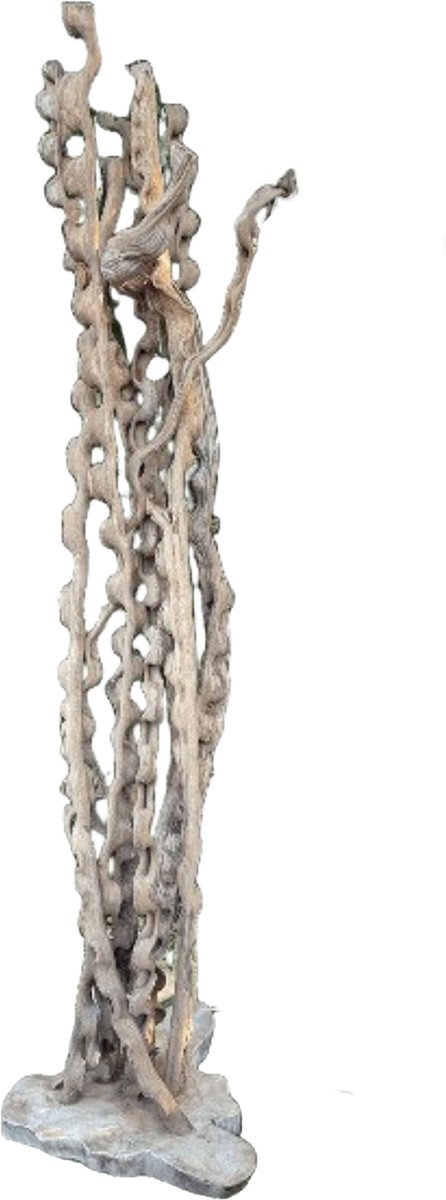 PTMD Ridde Natural Organic Snake Wood Statue