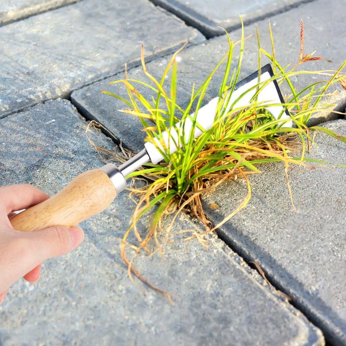 Dailygoods - Voegenschraper, onkruidsteker van roestvrij staal, houten handvat, roestvrijstalen kop met maat, onkruidsteker voor het verwijderen van onkruid, planten van groenten, bloemen, graven, snoeien en snijden