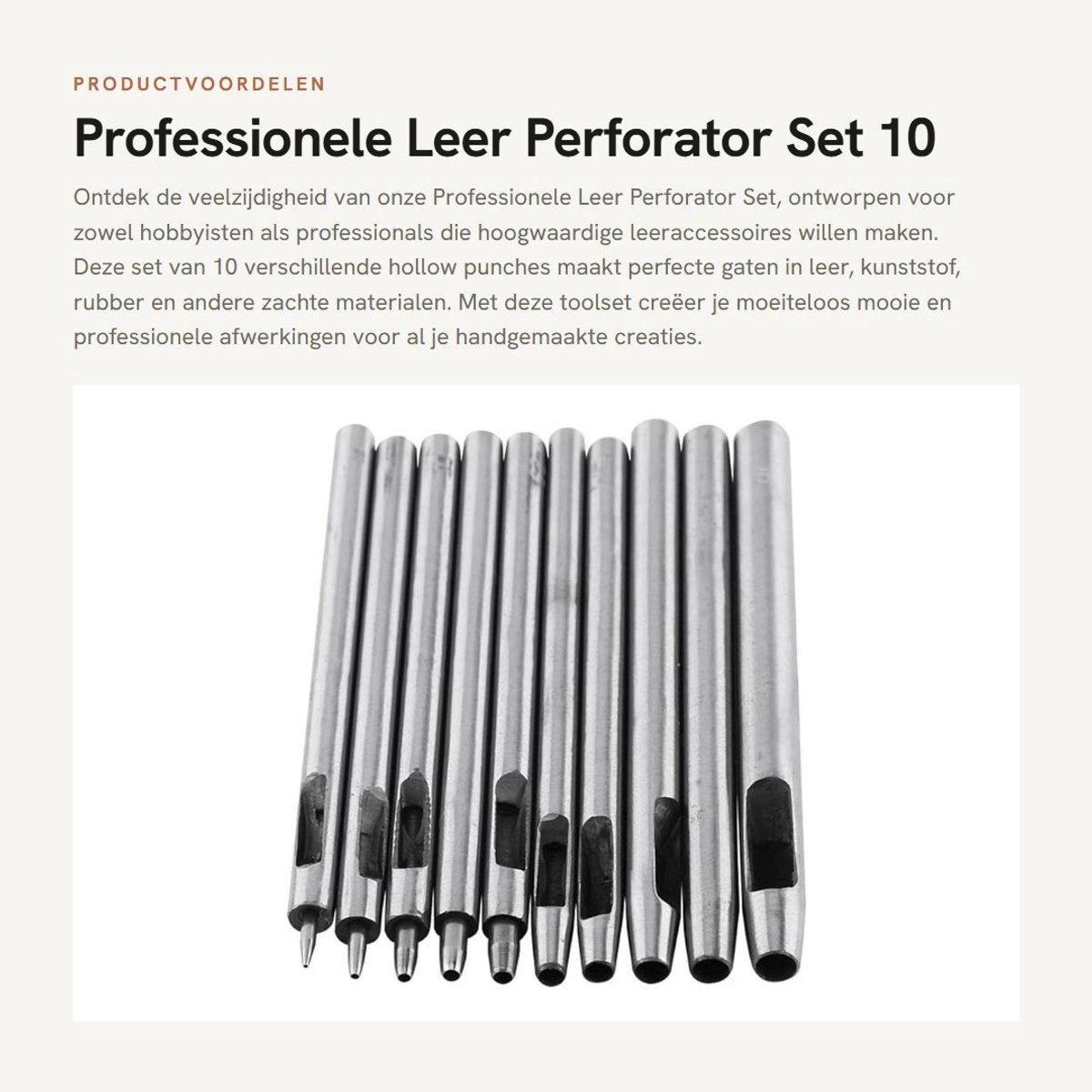 Dailygoods- Lederen Perforator Set - Professionele Perforator - 10 Stuks - Stalen Legering - Gaten 0.5-5mm - Voor Leer en Handwerk