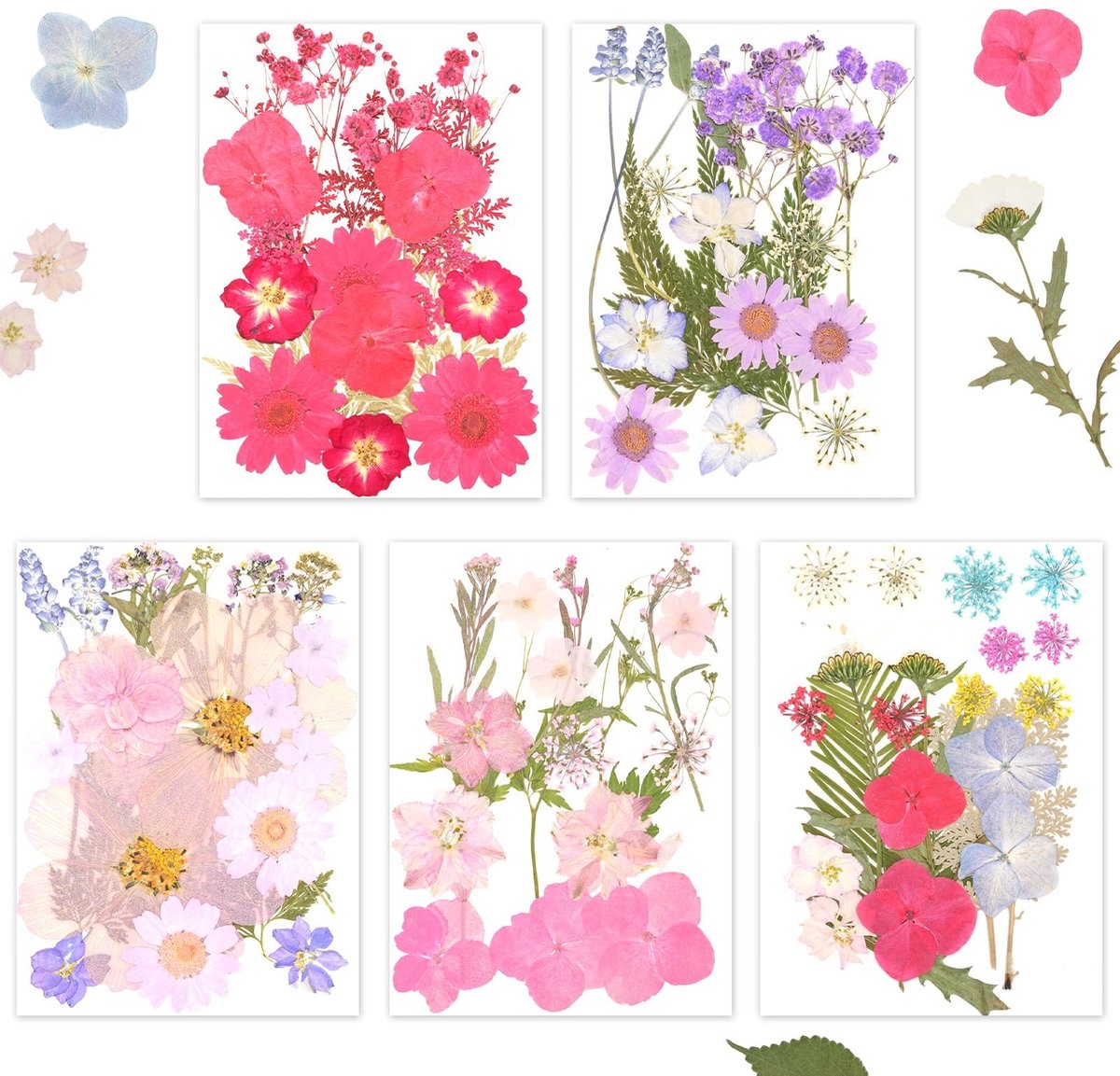 Dailygoods- Gedroogde Bloemen 100 Stuks - Geperste Bloemen - Hars - Doe-het-zelf Sieraden - 5 Kleurthema's - Veiligheidswaarschuwing