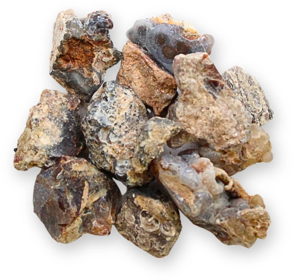 Agaat turritella 250 gr. ruwe brokjes