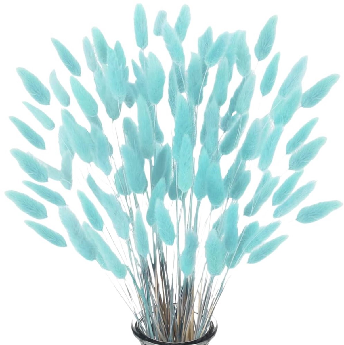 Dailygoods- Pampasgras 60 Stuks - Gedroogde Bloemen - Decoratie - Bruiloft - Interieur - Natuurlijke Kleur - Totale Lengte 40-45 cm - Droogbloemen