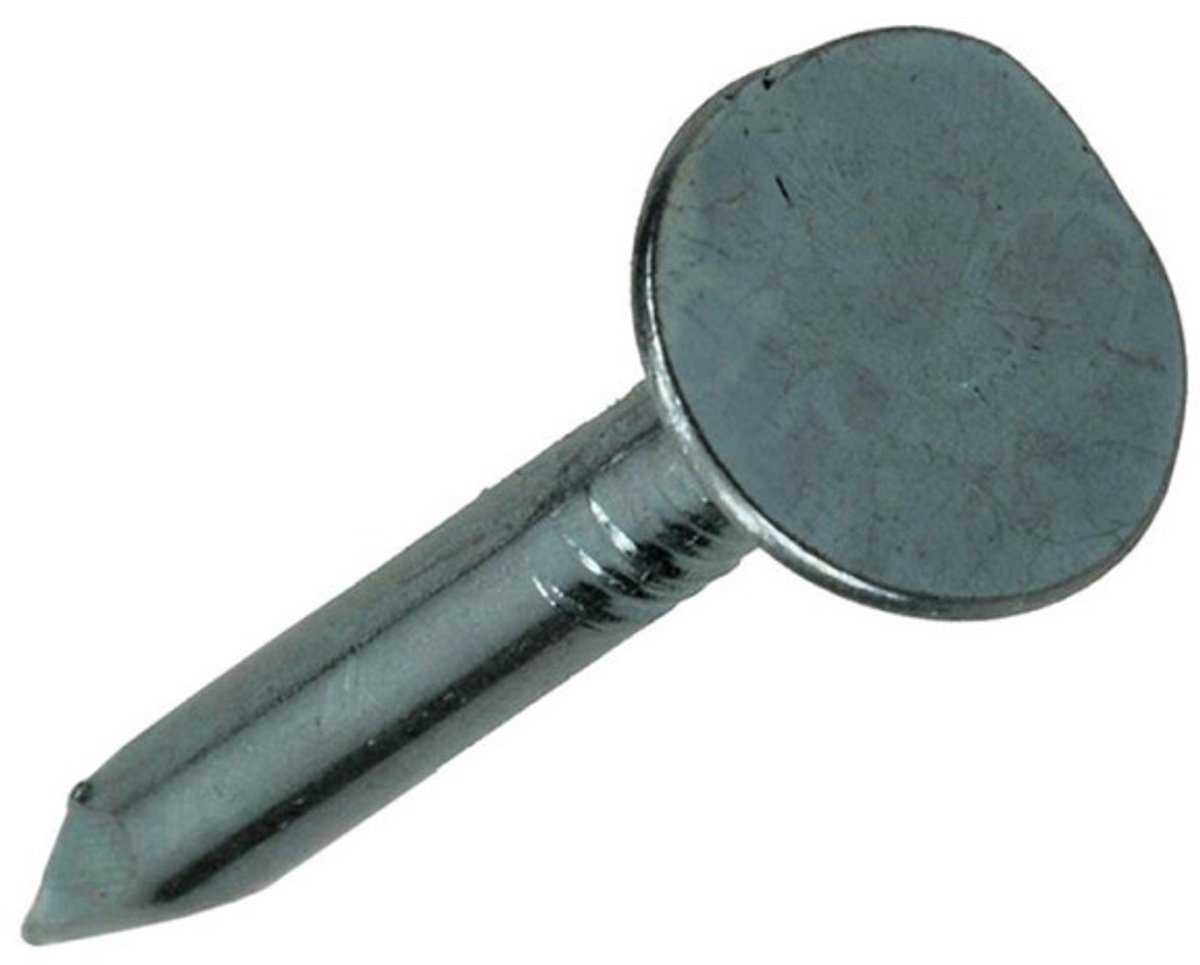 Mack Schalienagel 100 gram 3,0 x 30 mm