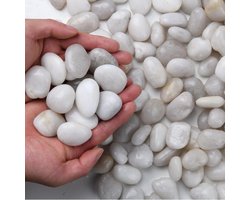 Decoratieve Rivierstenen - Kiezels Tuin Aquarium - Bloempot Tuindecoratie - Natuurlijke Kleurenmix Glad - 10 kg - Multikleur