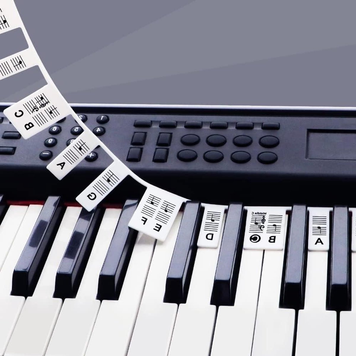 Piano Toets Labels - Toets Stickers - Muziek Leren - Niet Plakkerig Ontwerp - 61 Toetsen - Zwart