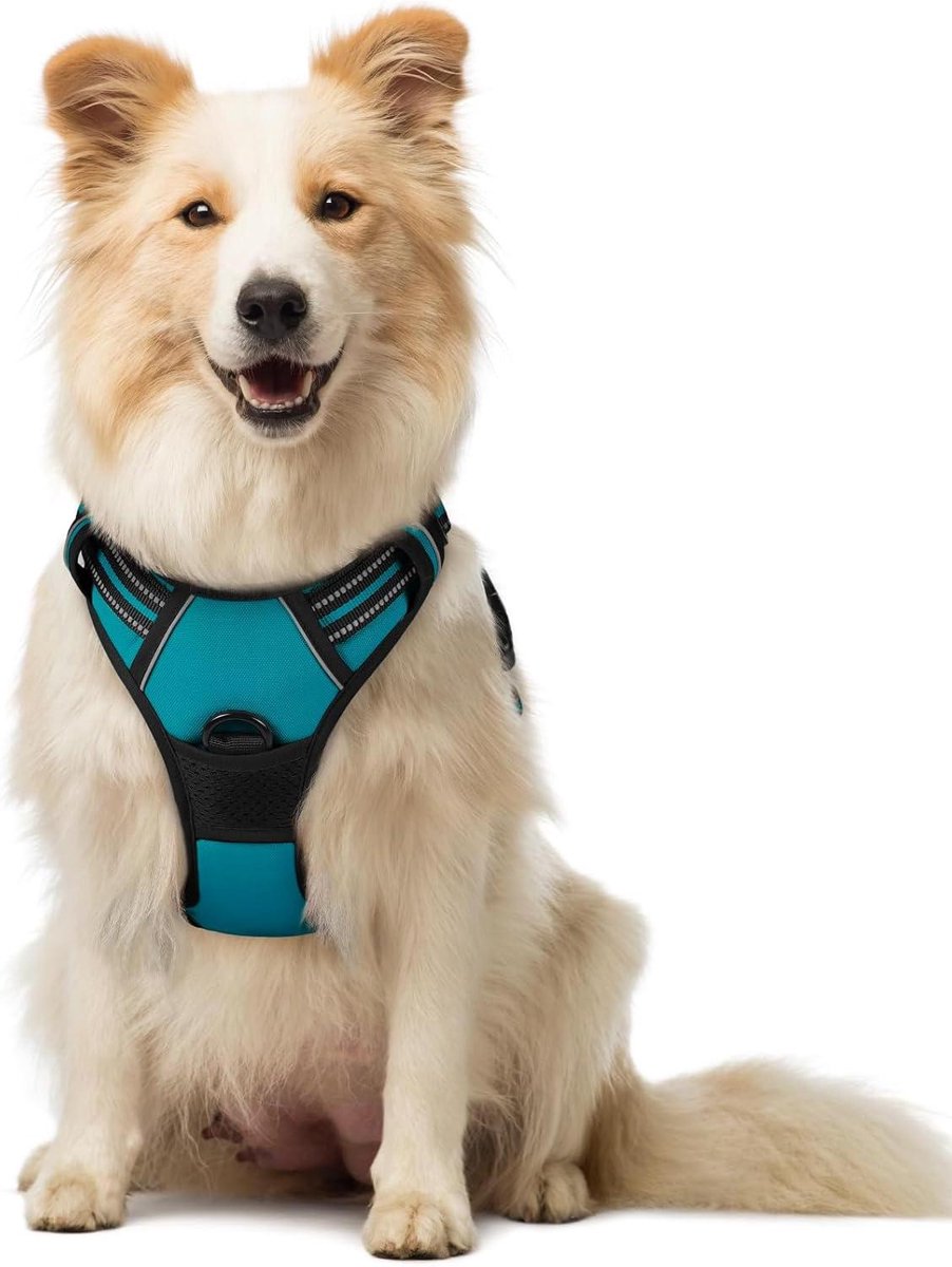 Honden Tuigje - Anti-trek - Veilig Wandelen - Verstelbaar Handvat - Maat M - Turquoise