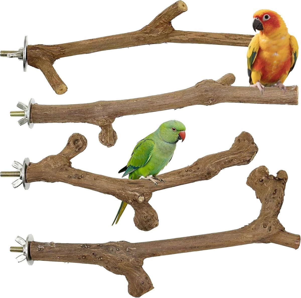 Natuurlijke houten hangers voor vogels, UV-bestendig, ideaal voor cacadus, parkieten en vinken, set van 4 stuks