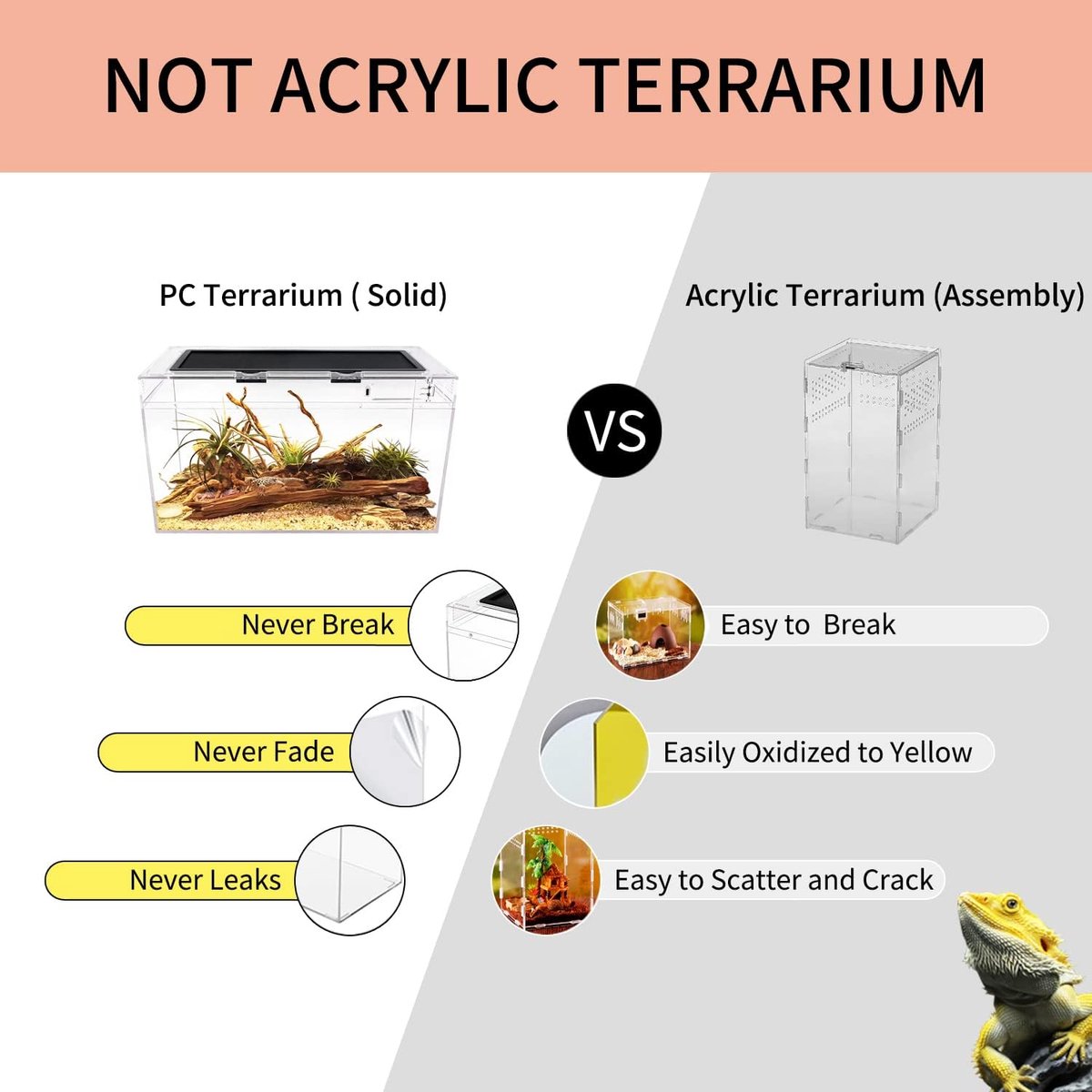 Growth Terrarium Complete set, 50 x 25 x 27 cm faunarium voor slakken, insecten, waterschildpadden, vogelspinnen, springspinnen, luipaard gekko, bebaarde draak, kikker, aquarium, emietkreeften thumbnail 5