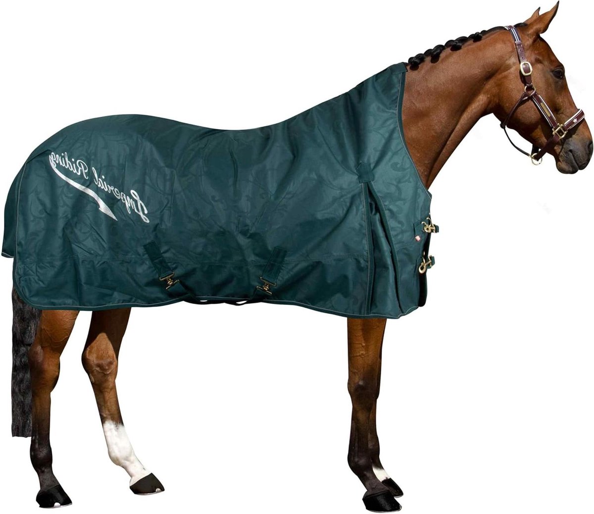 Outdoor Paardendeken - Regendeken Paddock - Paard Beschermen - Waterdicht Ademend - 155cm - Groen