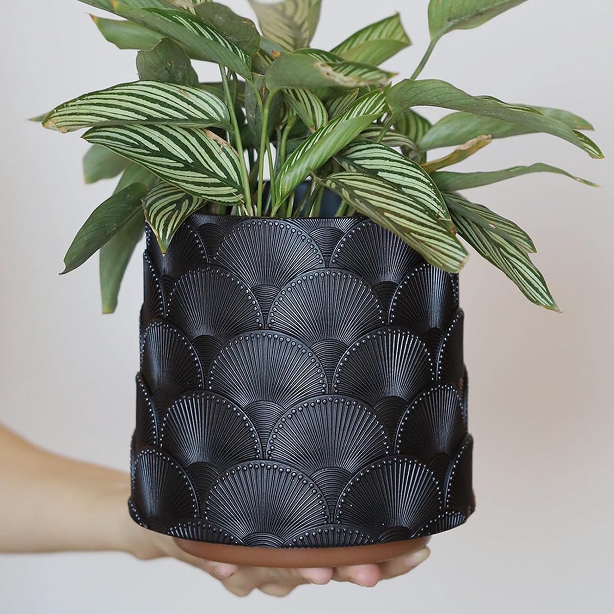 Zwarte schaal bloempot, kleurrijke plantenpot met drainage, eclectische schattige kleine bloempotten voor kamerplanten, regenboog, grappige vetplanten, tuinieren, pot, geschenken