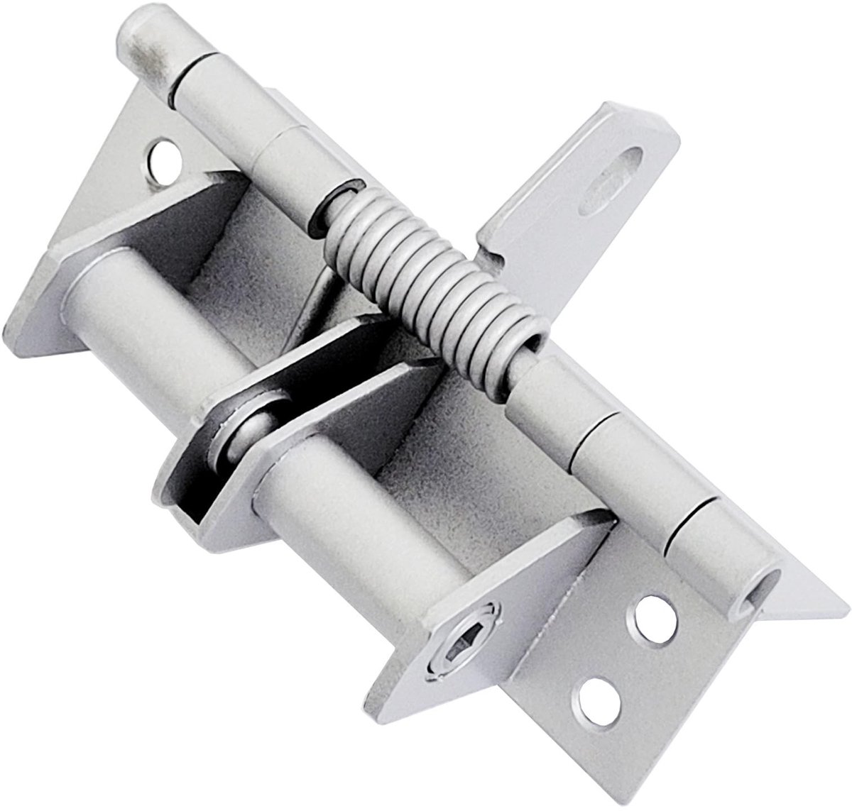 Dailygoods- Deurscharnier 10cm - Zelfsluitend - Scharnieren - Deurstopper - Hoogwaardige Materialen - Eenvoudige Installatie - Deurscharnieren