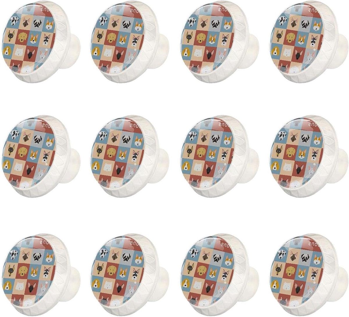 Kast Knoppen - Meubelgrepen - Meubels Vernieuwen - Kristalglas ABS - 12 Stuks - Wit Iconen