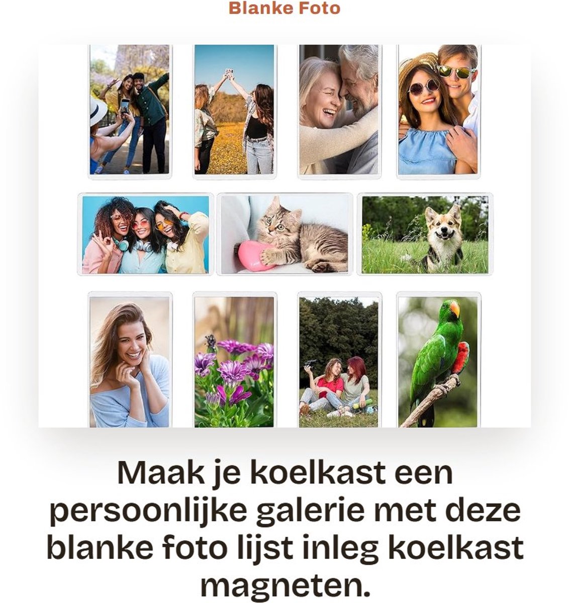Dailygoods- Koelkastmagneten 20 Pak - Blanke Foto Lijstjes - Doorzichtig Acryl - Makkelijk aan te passen - Geschikt voor kleine foto’s - Duurzaam en breekvast - Fotolijsten