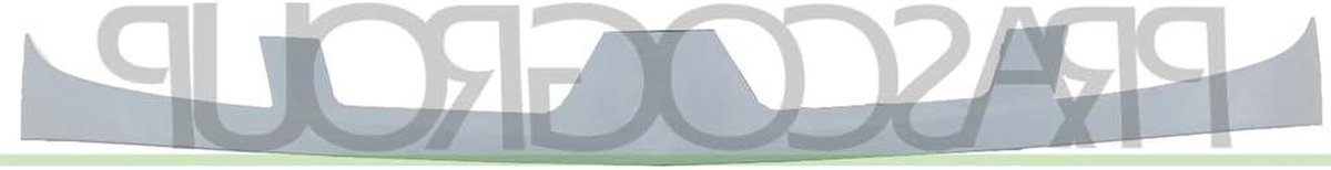 Radiatorrooster - Grille Cover - Auto Onderhoud - Specifiek Model - 156 cm - Zwart